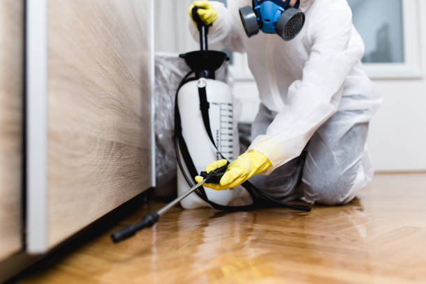 Pest Prevention Services in Levittown, PA
