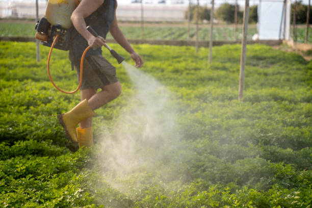 Best Mosquito Control Services  in Levittown, PA