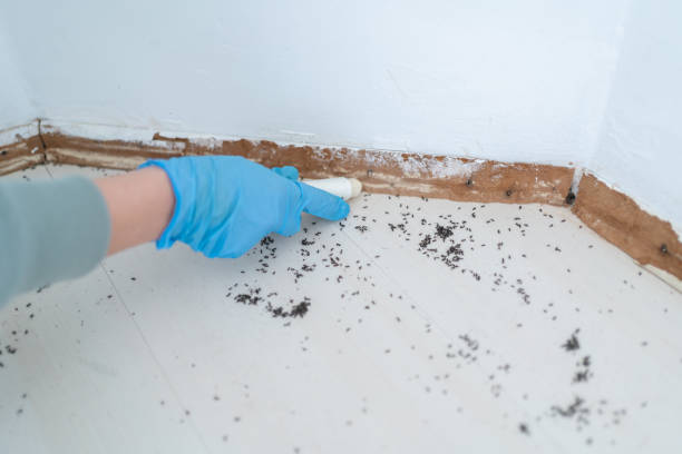 Best Commercial Pest Control Services  in Levittown, PA